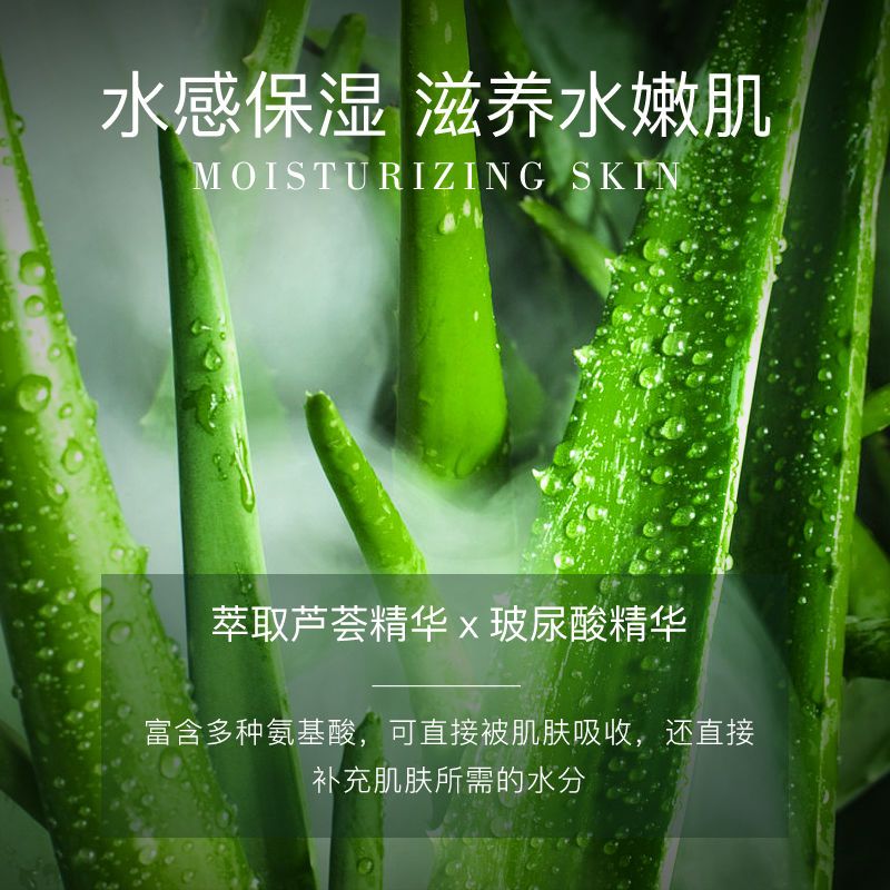 【经典套装】芦荟玻尿酸五件套 【官方正品】芦荟玻尿酸冬日补水保湿护肤品套装化妆品