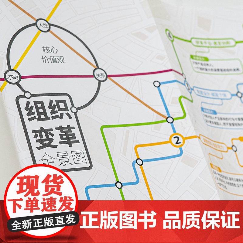变革的方法 沈祖芸著 刘润罗振宇 向北京市十一学校学习激活组织的方法 知识型组织变革 企业经营管理正版高清大图