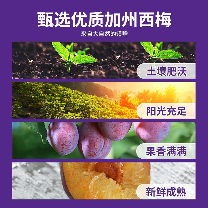 英贝健西梅汁益生元纤维果饮大餐日记浓缩纯西梅果蔬汁饮料旗舰店