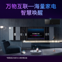 创维 （SKYWORTH） 65H20 65英寸全面屏电视 超薄电视 HDR 4K超高清电视 智能电视