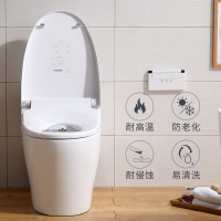日本大普智能马桶一体机有水箱储热式全自动冲洗烘干家用智能坐便器300mm400mm坑距送货上门
