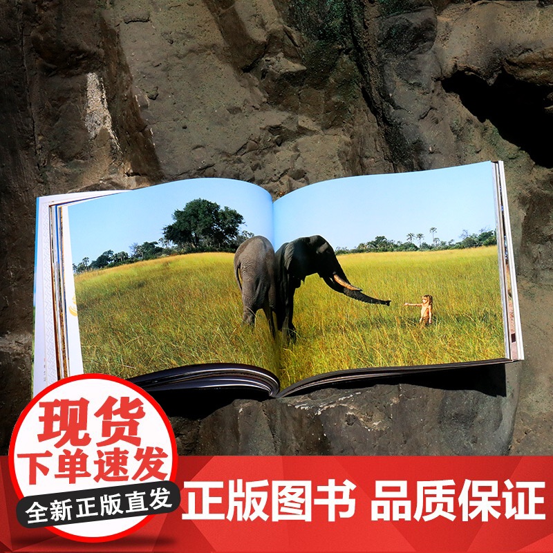 我的野生动物朋友全新完整版 蒂皮·德格雷人与自然科学科普8-10-12周岁一二年级小学生课外阅读儿童读物接力出版社高清大图