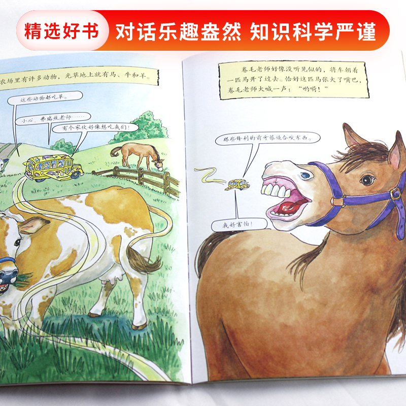 [正版]神奇校车桥梁书第五辑单本丢失的牙齿平装神奇的校车非注音版适合4岁以上蒲公英童书高清大图