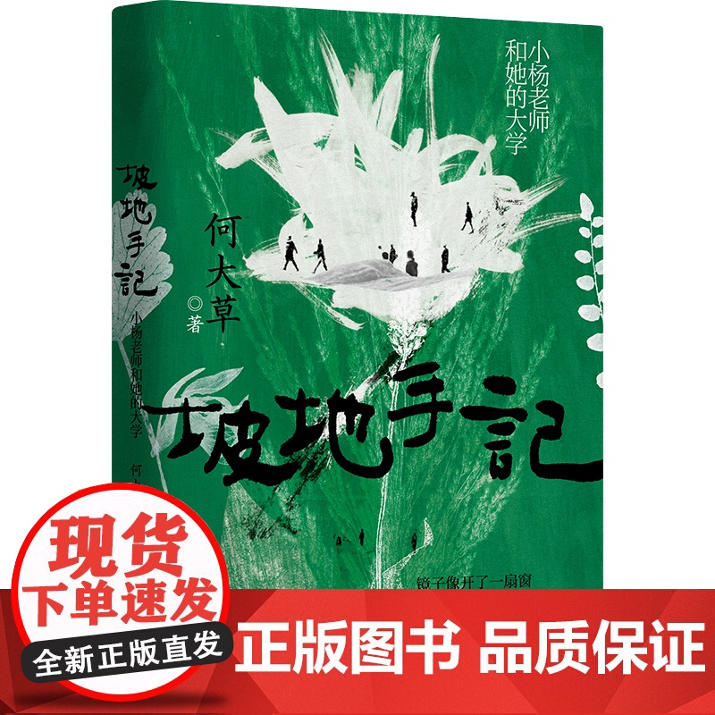 坡地手记:小杨老师和她的大学《春山》作者何大草长篇新作 镜子像开了一扇窗她看到了自己 现当代文学小说书籍高清大图