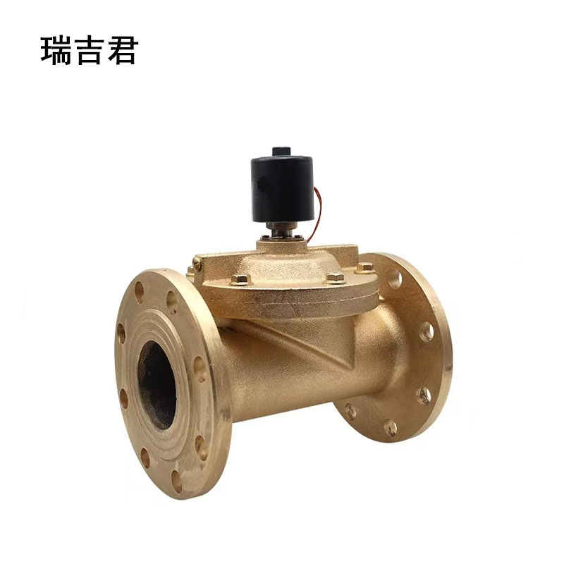 瑞吉君 电磁阀 DN80 个