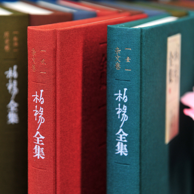 [正版]精装版柏杨全集 全25卷 中国人史纲 丑陋的中国 人资治通鉴 倚梦闲话 杂文历史小说其他四部分当代文学 人民文高清大图