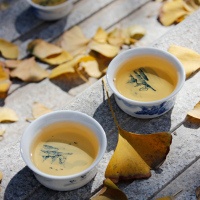 2018年鹏翔紧压白茶茶叶陕西西乡特产紧压贡眉茶叶茶饼礼盒装300g