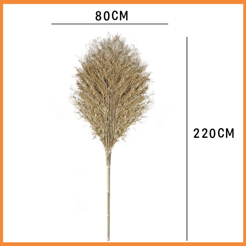 苏宁宜品 SNYP-ZSB-003竹扫把户外庭院大竹扫 竹柄4斤款高清大图