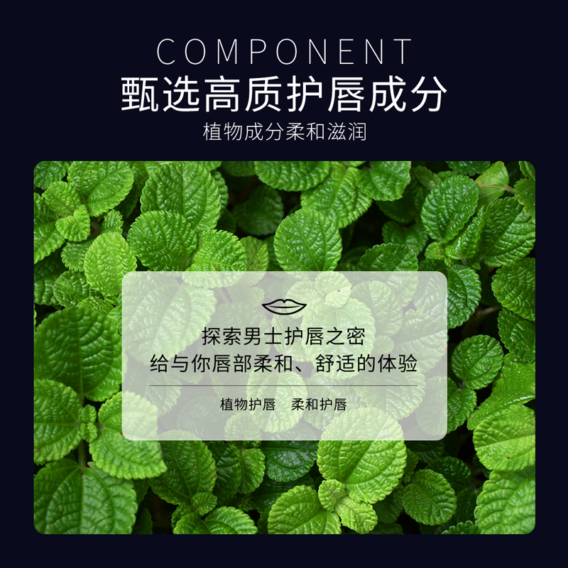 [2支装]泊泉雅男士酷劲润唇膏 滋润保湿秋冬润唇膏2.7g高清大图