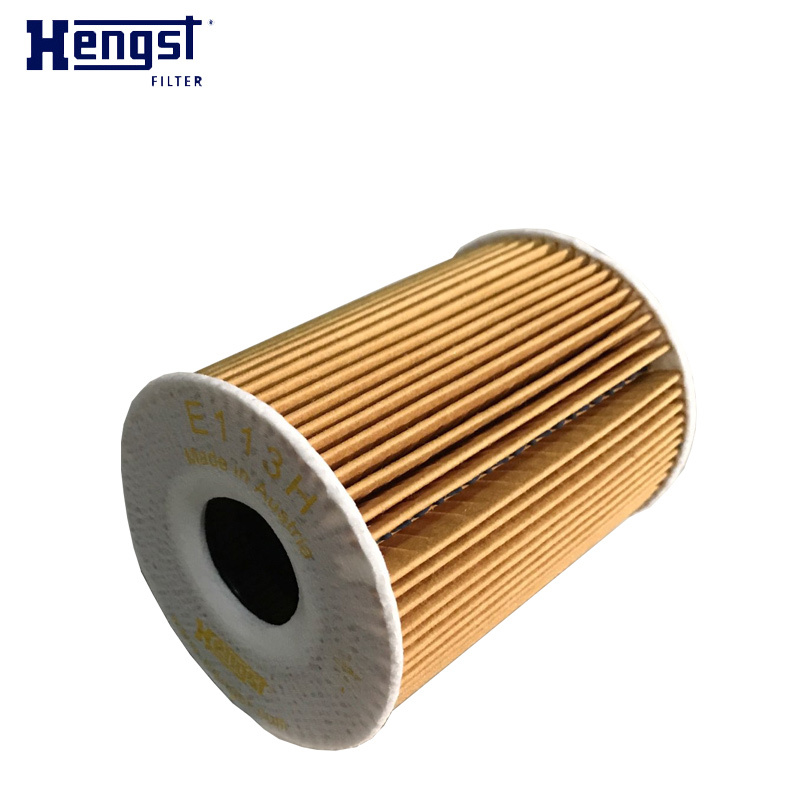汉格斯特（hengst）机油格滤清器纸芯E113H D235适用于保时捷卡宴Macan帕纳美拉911