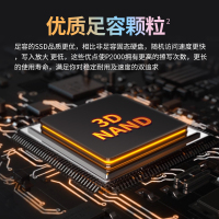 爱国者 (aigo) P2000 SSD足容固态硬盘 M.2接口(NVMe协议) DIY装机固态硬盘 500GB