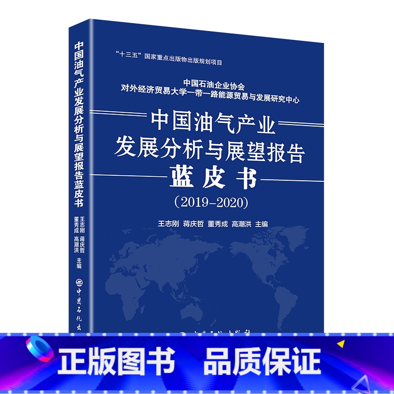 [正版]中国油气产业发展分析与展望报告蓝皮书2019—2020 全面分析研究油气产业发展现状及展望 石油天然气工业经济发