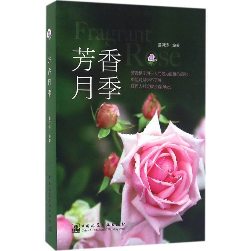 芳香月季图片