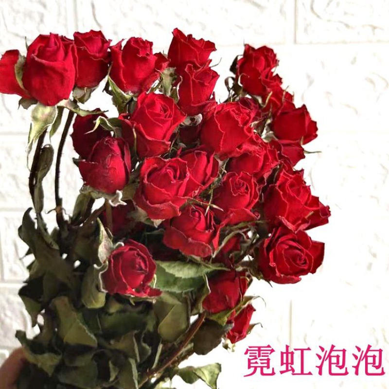 派诺孚 Painuofu 花瓶 花艺霓虹泡泡10枝30朵花 买玫瑰送情人草干花 干花花束玫瑰干花北欧风小清新家居蔷薇花花束 办客厅装饰玫瑰泡泡 价格图片品牌报价 苏宁易购小桐家居拼购店