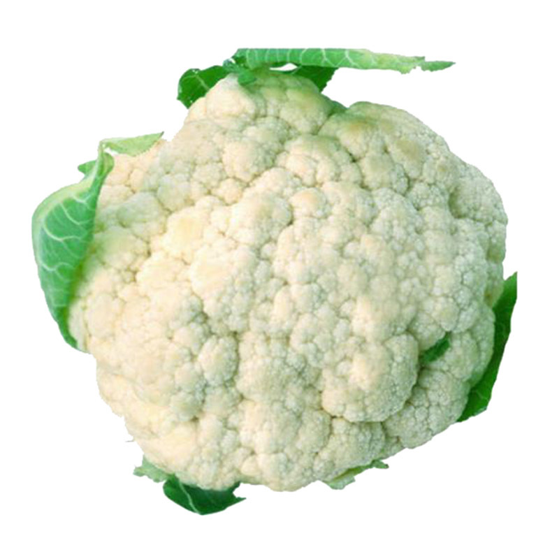 七果果叶菜类七果果花菜5斤白花菜花椰菜椰菜花白洋花菜球花甘新鲜蔬菜产发qq 价格图片品牌报价 苏宁易购七果果旗舰店