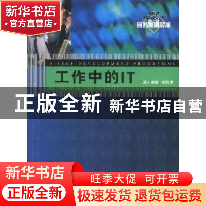 正版 工作中的IT 【英】戴维·斯托里【DavidStorey】著 中国社会科学