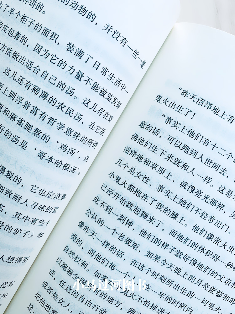 [正版]全新 海的女儿 煤炭工业出版社 世界文学名著 全译本 中文版 中高清大图