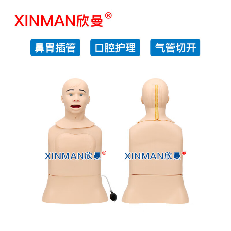 欣曼 高级鼻胃插管及口腔护理模型人 鼻饲模型XM-BWGA高清大图