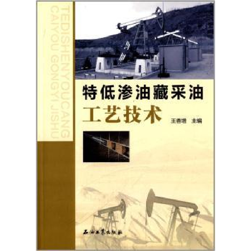 音像特低渗油藏采油工艺技术王香增主编