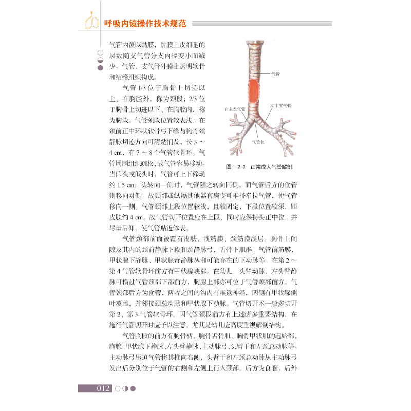 醉染图书呼吸内镜操作技术规范9787518962136高清大图
