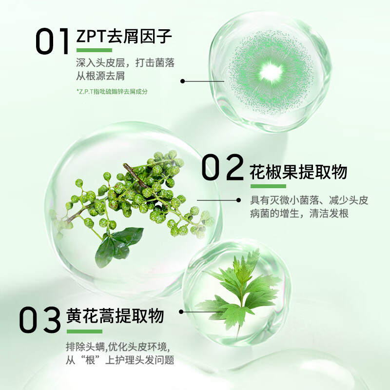 采乐-去屑洗发露(控油去屑)420ml高清大图