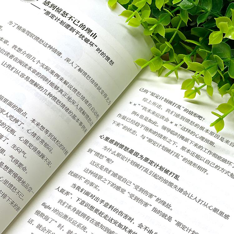 [正版]你为什么忍不住发火 人际关系疗法心理状态疗愈摆脱情绪困扰 助你表达愤怒 而不是愤怒表达做自己的心理医生 静心放下高清大图