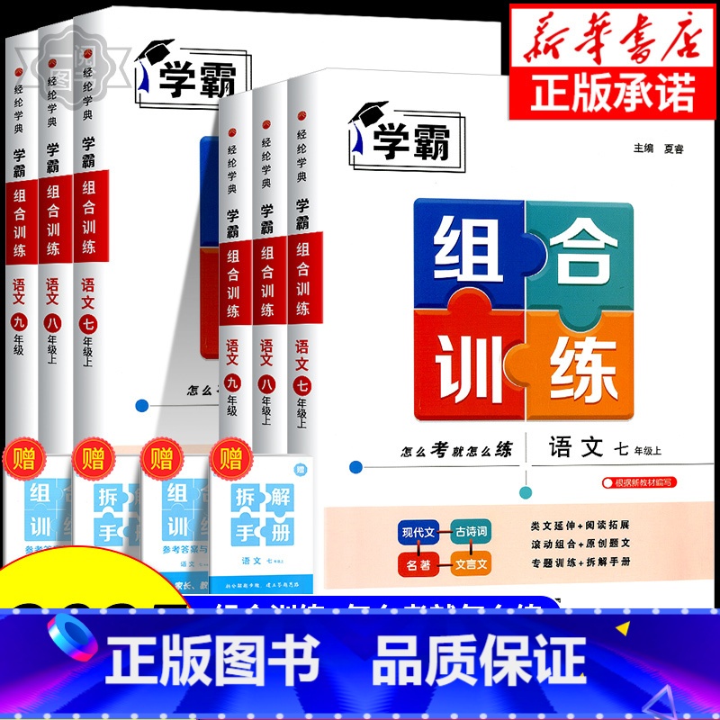 英语【江苏专版】 九年级/初中三年级 【正版】2025版初中语文学霸组合训练七年级上册八年级下册九年级 浙江 初一初二初