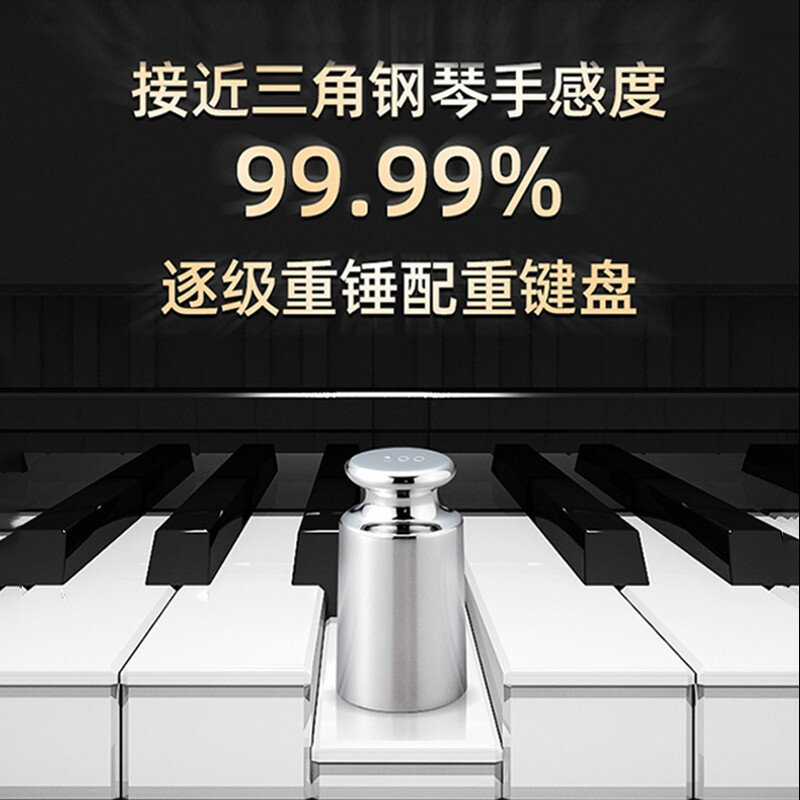 朗动(LMOVE)智能电钢琴MS-788P木纹黑 电子数码钢琴88键配重键盘 专业级+原装琴架+三踏板