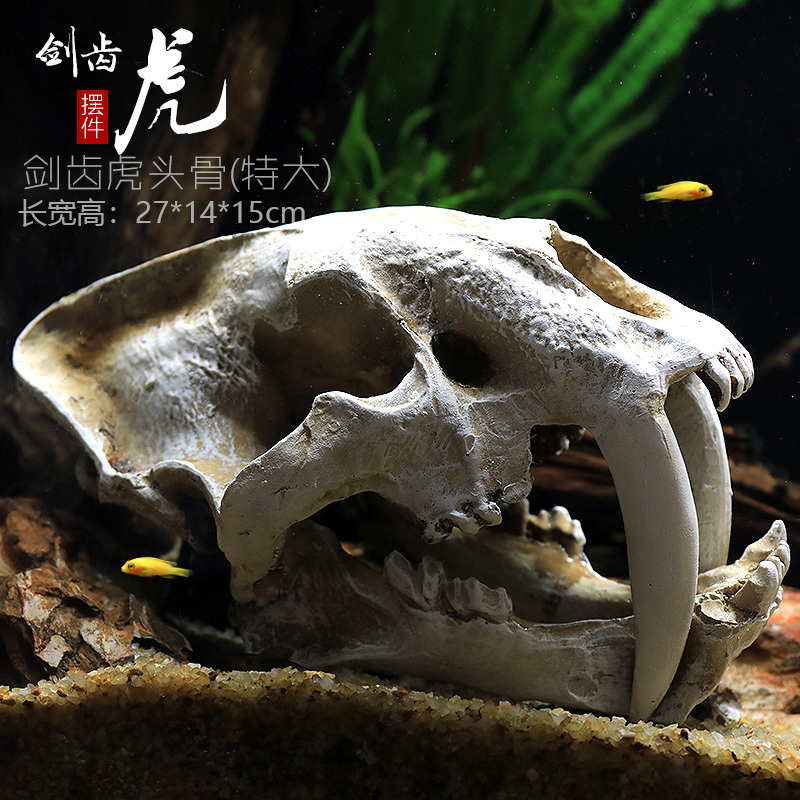 仿真恐龙骷颅头骨躲避屋树脂假山水草造景头骨鱼缸水族箱装饰摆件