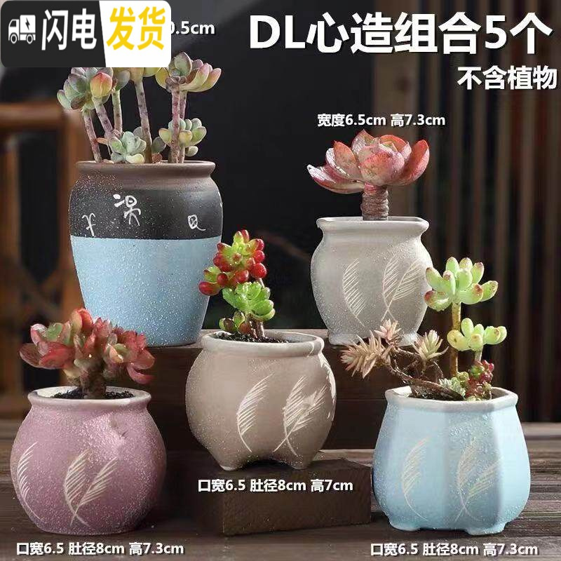 三维工匠多肉花盆陶瓷特价清仓粗陶透气室内简约肉肉盆栽特大口径花盆 DL心造组合5个 中等_63
