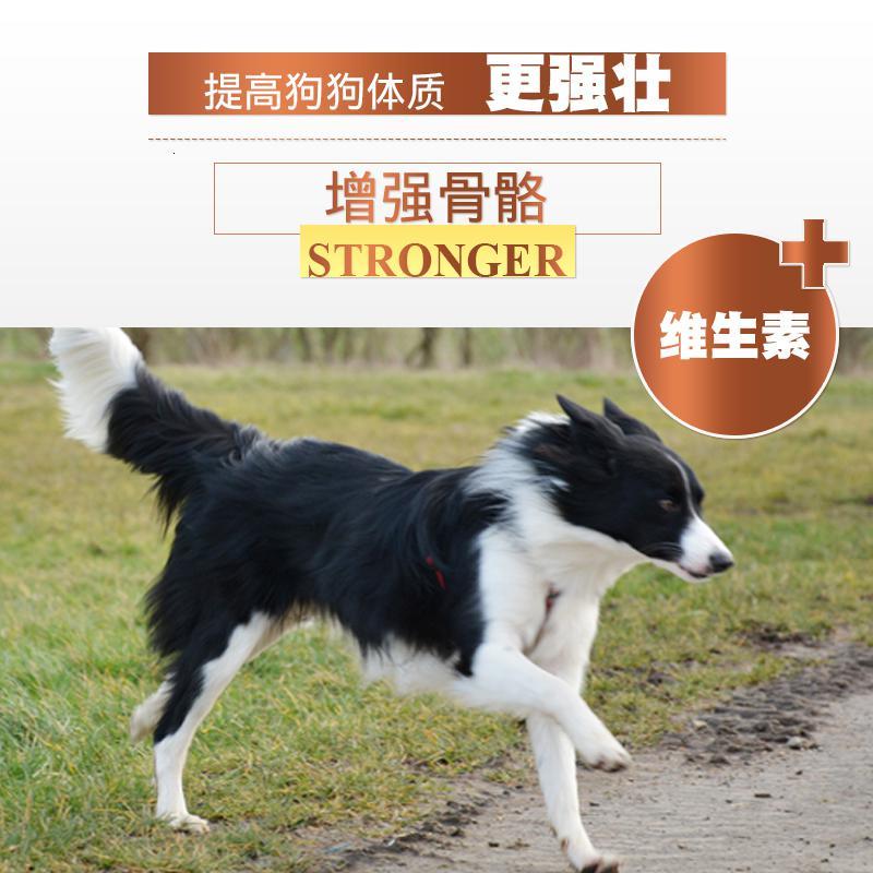 边牧幼犬狗粮边牧专用中大型犬粮边境牧羊犬专用边牧狗粮10斤高清大图