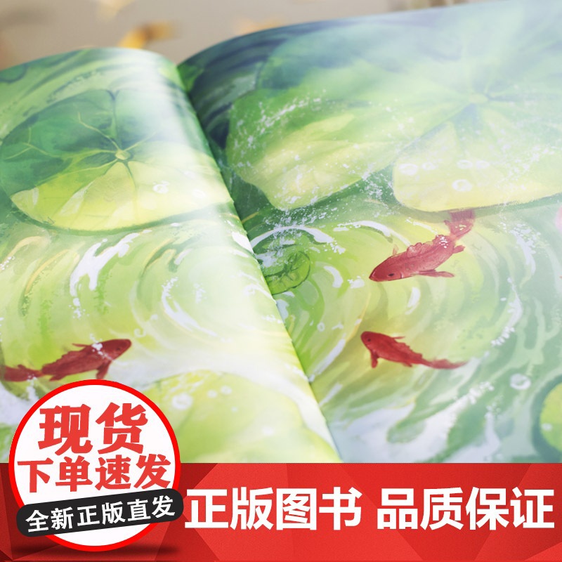 大家小绘系列:爱莲说高清大图