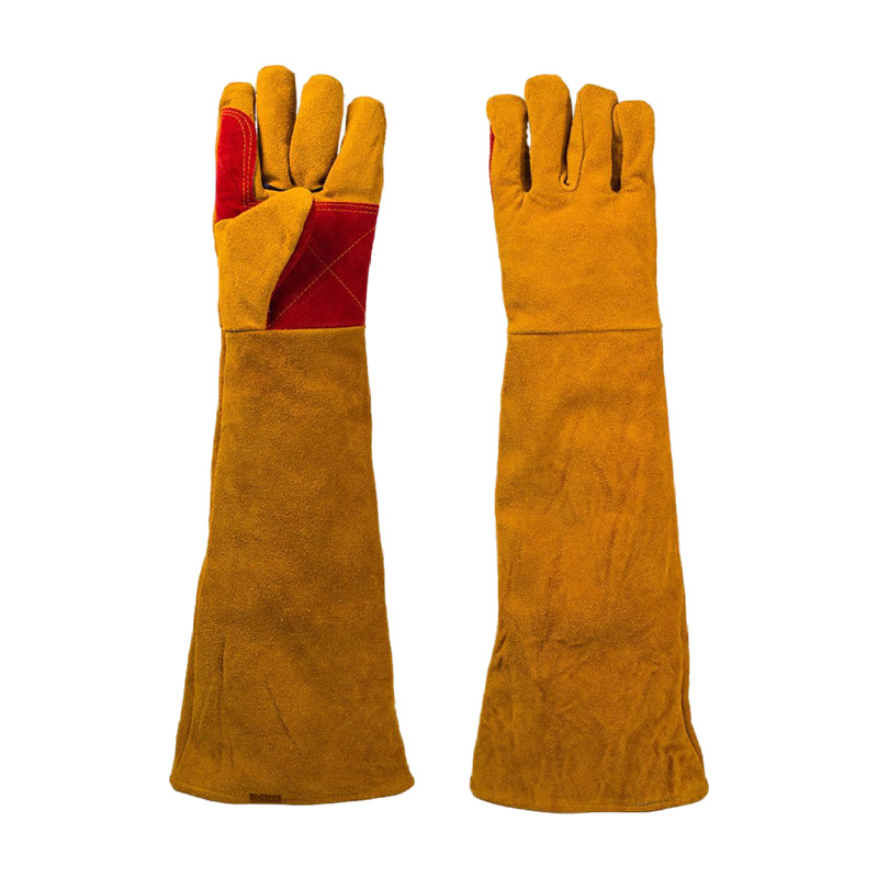 阿祺果 手套 60cm 双高清大图