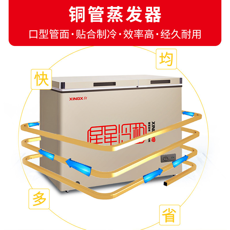 星星(XINGX)200L冰柜家用小型冷柜 大冷冻小冷藏双温铜管冷柜商用卧式冰柜 BCD-200GCT