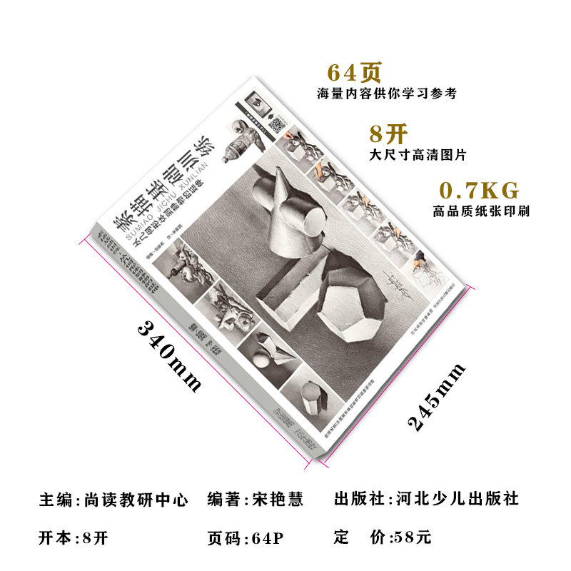[醉染正版]素描基础训练从几何形体到静物的延伸宋艳慧尚读出版零基础素描几何形体从入门到精通石膏几何体素描教程静物素描绘画高清大图