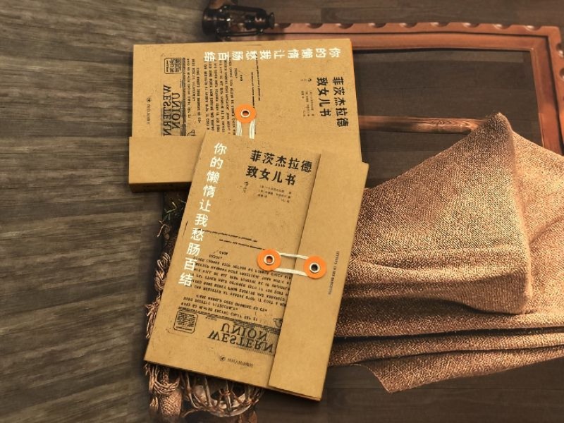 [正版]书店 书籍你的懒惰让我愁肠百结了不起的盖茨比作者菲茨杰拉德致女儿书 青春期父女亲子书信集随笔书籍高清大图