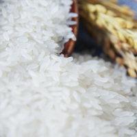 美禾庄园东北大米五常大米礼盒5kg/10斤x4袋 原产地发货执行标准19266粳米五常米口感软糯香甜