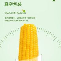 北大荒玉米东北糯玉米整箱发货2kg真空香糯早餐代餐香甜糯独立真空250g*8