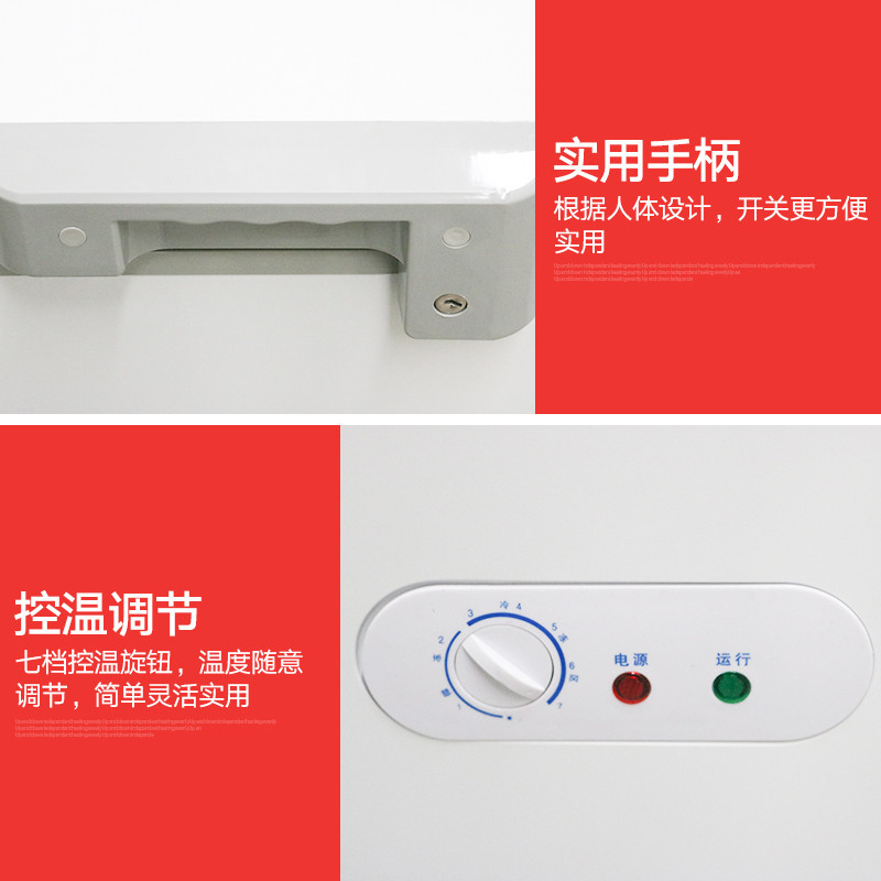 lecon/乐创洋博 898升卧式冷柜 单温双门小冰柜冷冻柜冷藏柜商用家用冰柜 中小商场专用 低能耗