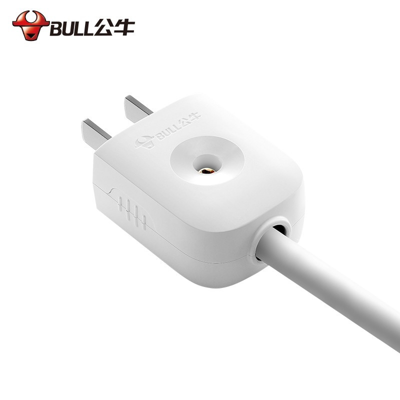 公牛(BULL) GNT-10L1S白色单相两极可拆插头10A二脚插头(3575)