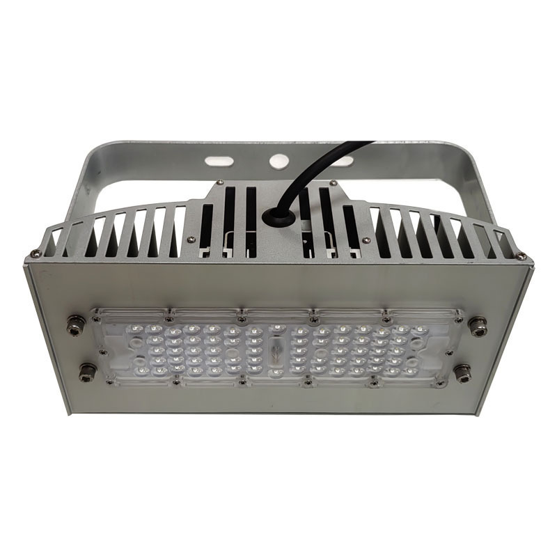 宝富睿光电 BFL3050T AC220V IP66 LED投光灯-(60W)(含安装)(计量单位:套)银色