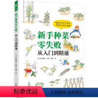 [正版]新手种菜零失败从入门到精通 新井敏夫 蔬菜 家庭菜园 播种 定植 搭架 摘心 施肥 修剪 病虫害防治 采收70
