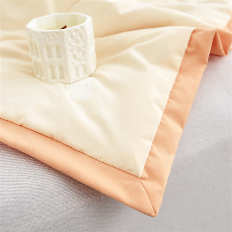 唐纳家纺 大豆纤维空调被 180*200CM- TN-SQ24018高清大图