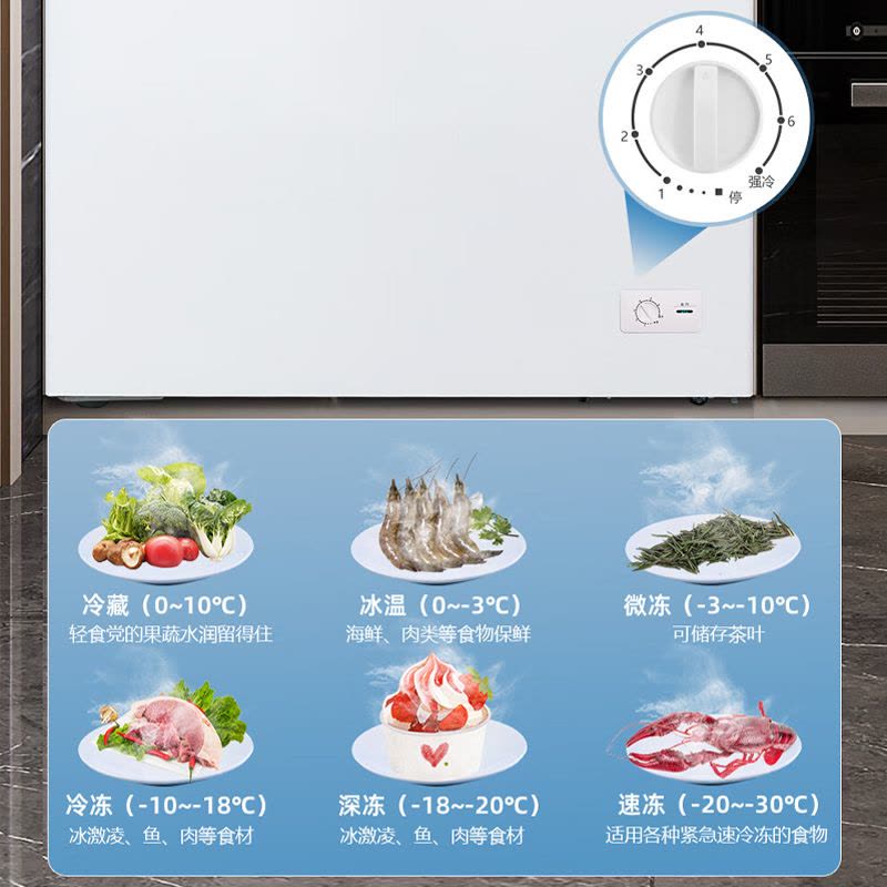 星星(XINGX)BD/BC-303GC冰柜家用一级能效小型商用速冻冷柜卧式小冰箱自动减霜80%冷藏冷冻单温柜图片