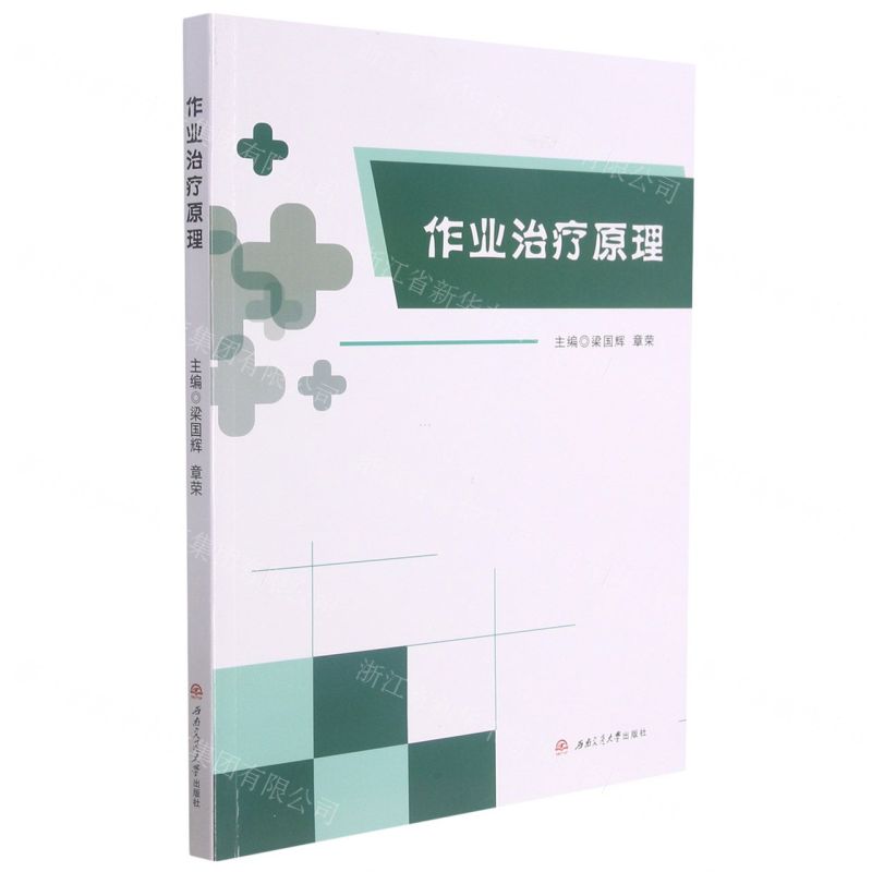 [N]作业治疗原理-9787564381462高清大图