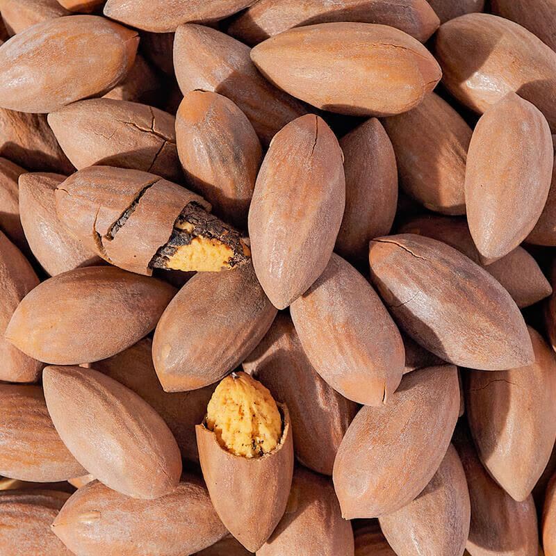 臻味 宋之趣坚果礼盒 925g 盒图片