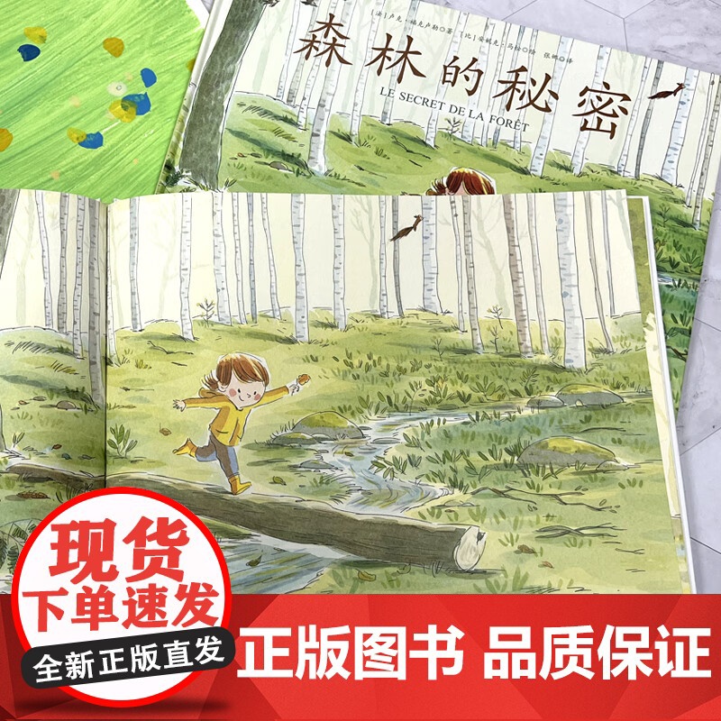 森林的秘密 卢克•福克卢勒等 著 绘本高清大图