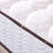 臻远 ZY-ML-H09201 弹簧床垫 1000*2000 白色