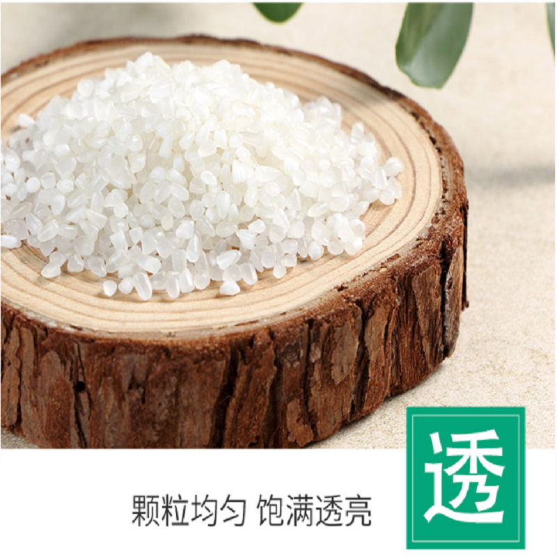 十月稻田 粥米 1kg *2袋(稻花香2号 东北大米 杂粮伴侣 真空包装)