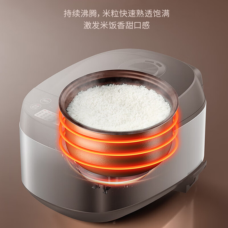 九阳 3L电饭煲 F30FZ-F430高清大图